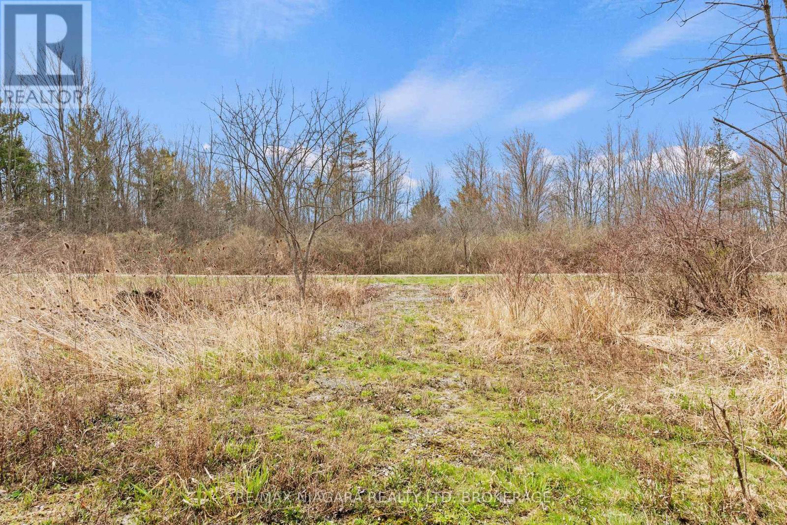 1887 Dominion Road, Fort Erie (Crescent Park), Ontario  L0S 1N0 - Photo 45 - X13013032