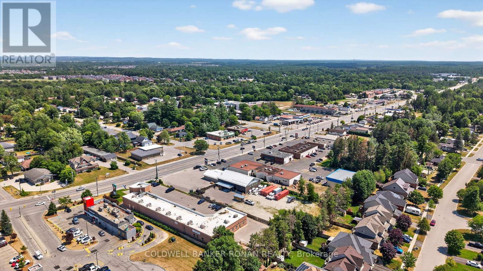 215 Mill Street, Essa, Ontario  L3W 0H1 - Photo 26 - N13013000