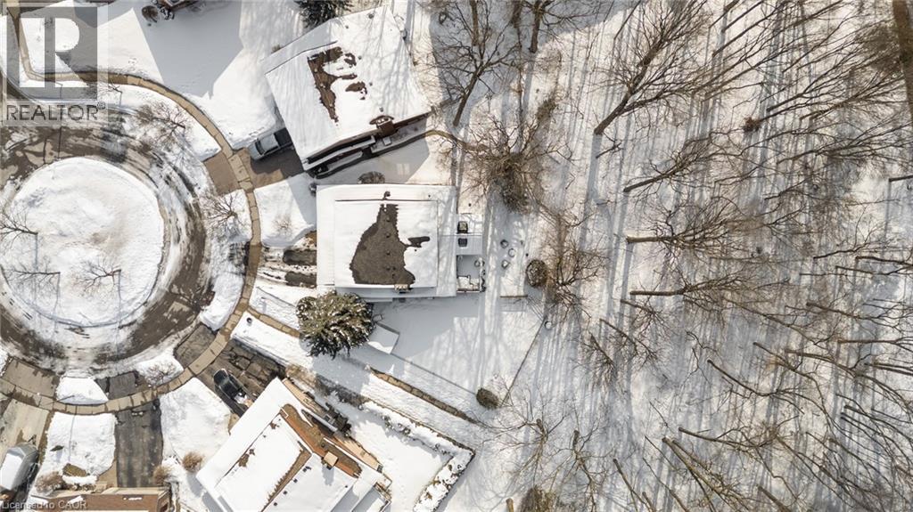 29 Muskoka Court, Kitchener, Ontario  N2B 3M2 - Photo 50 - 40806535