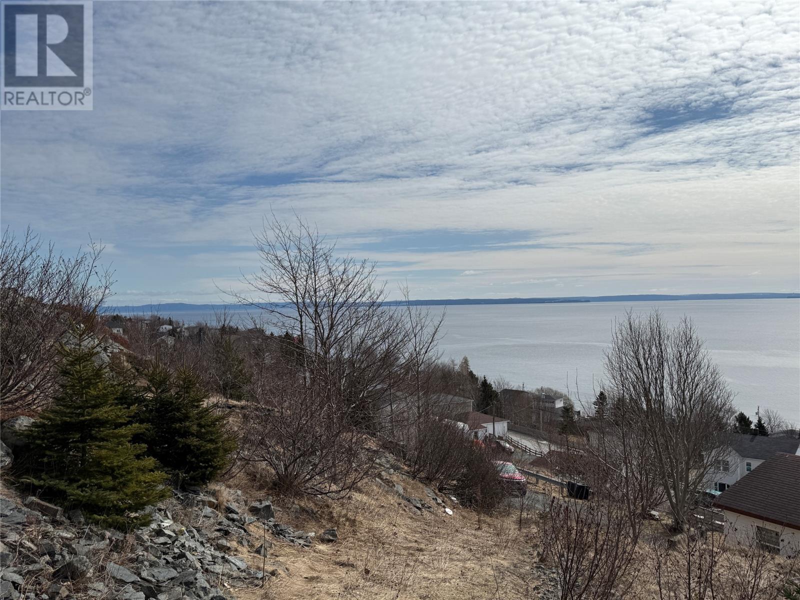 8 Mountain Road, Upper Island Cove, Newfoundland & Labrador  A0A 4E0 - Photo 10 - 1296271