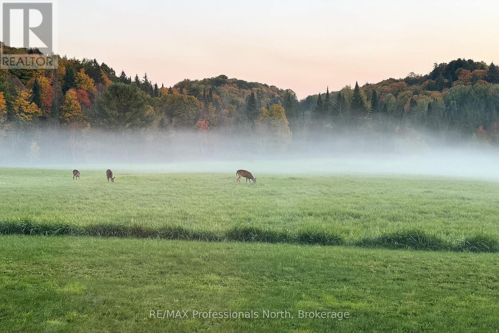 475 Hoodstown Road S, Huntsville, Ontario  P1H 2J2 - Photo 47 - X13013298