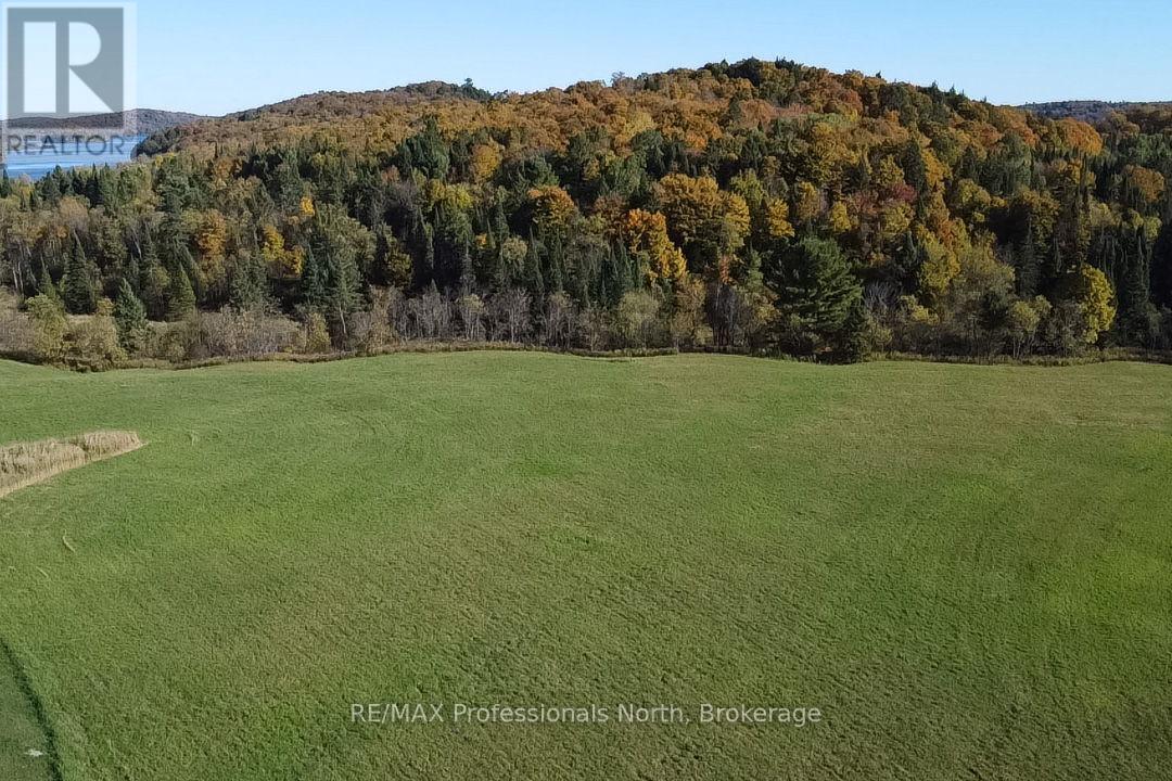 475 Hoodstown Road S, Huntsville, Ontario  P1H 2J2 - Photo 50 - X13013298