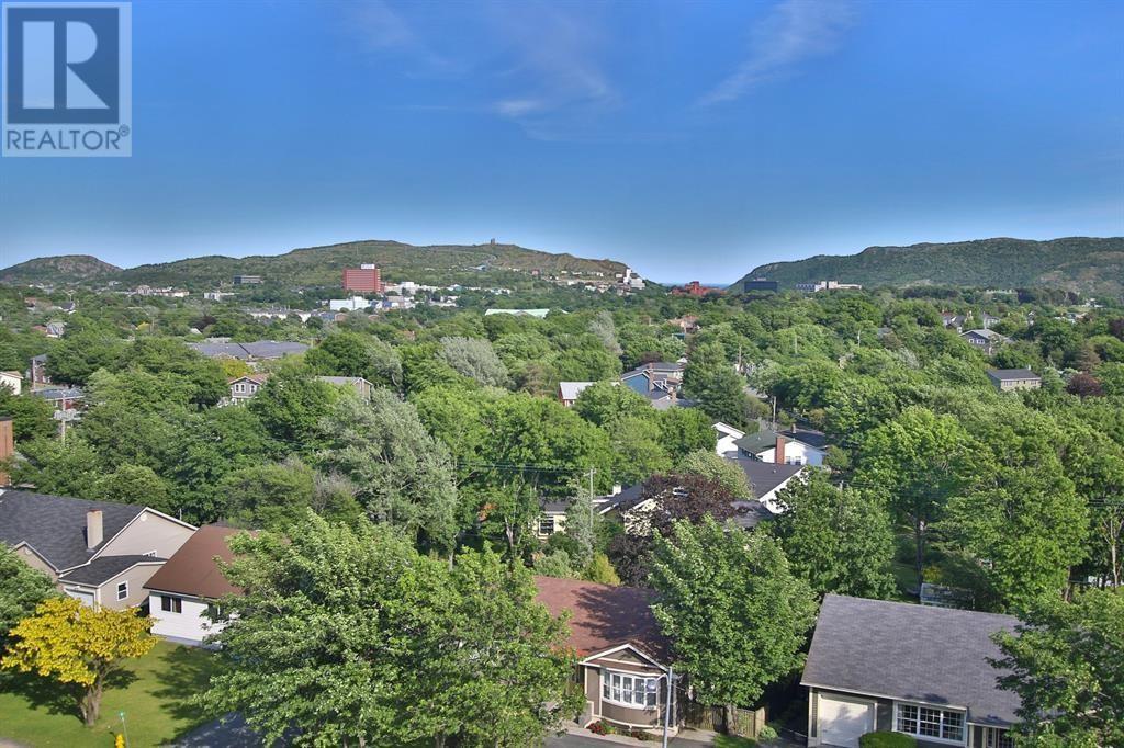 100 Elizabeth Avenue Unit#603, St. John's, Newfoundland & Labrador  A1B 1R9 - Photo 11 - 1296286