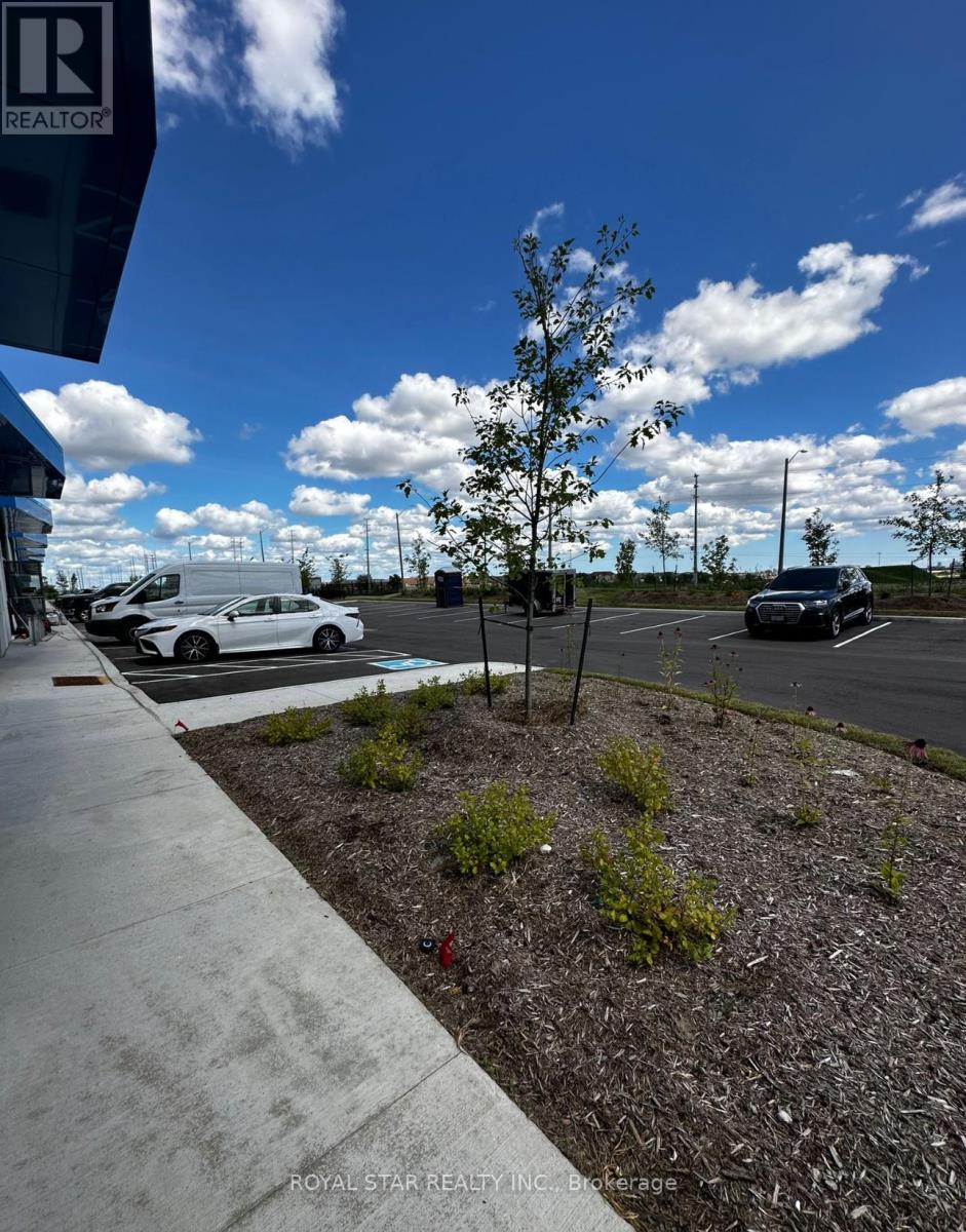 B1 - 20 Newkirk Court, Brampton, Ontario  L6Z 0J8 - Photo 4 - W13013256