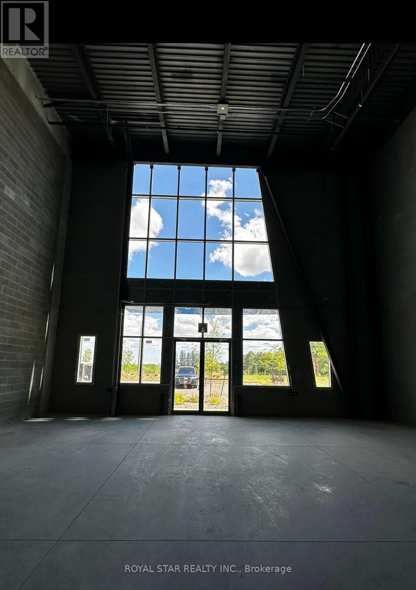 B1 - 20 Newkirk Court, Brampton, Ontario  L6Z 0J8 - Photo 5 - W13013256