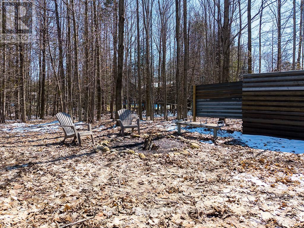 166 Raglan Street, Grey Highlands, Ontario  N0C 1E0 - Photo 17 - X12981244