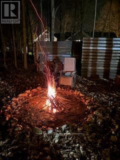 166 Raglan Street, Grey Highlands, Ontario  N0C 1E0 - Photo 21 - X12981244