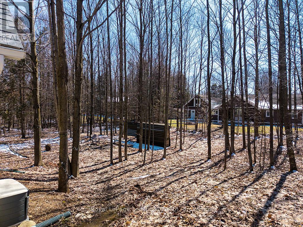 166 Raglan Street, Grey Highlands, Ontario  N0C 1E0 - Photo 16 - X12981244