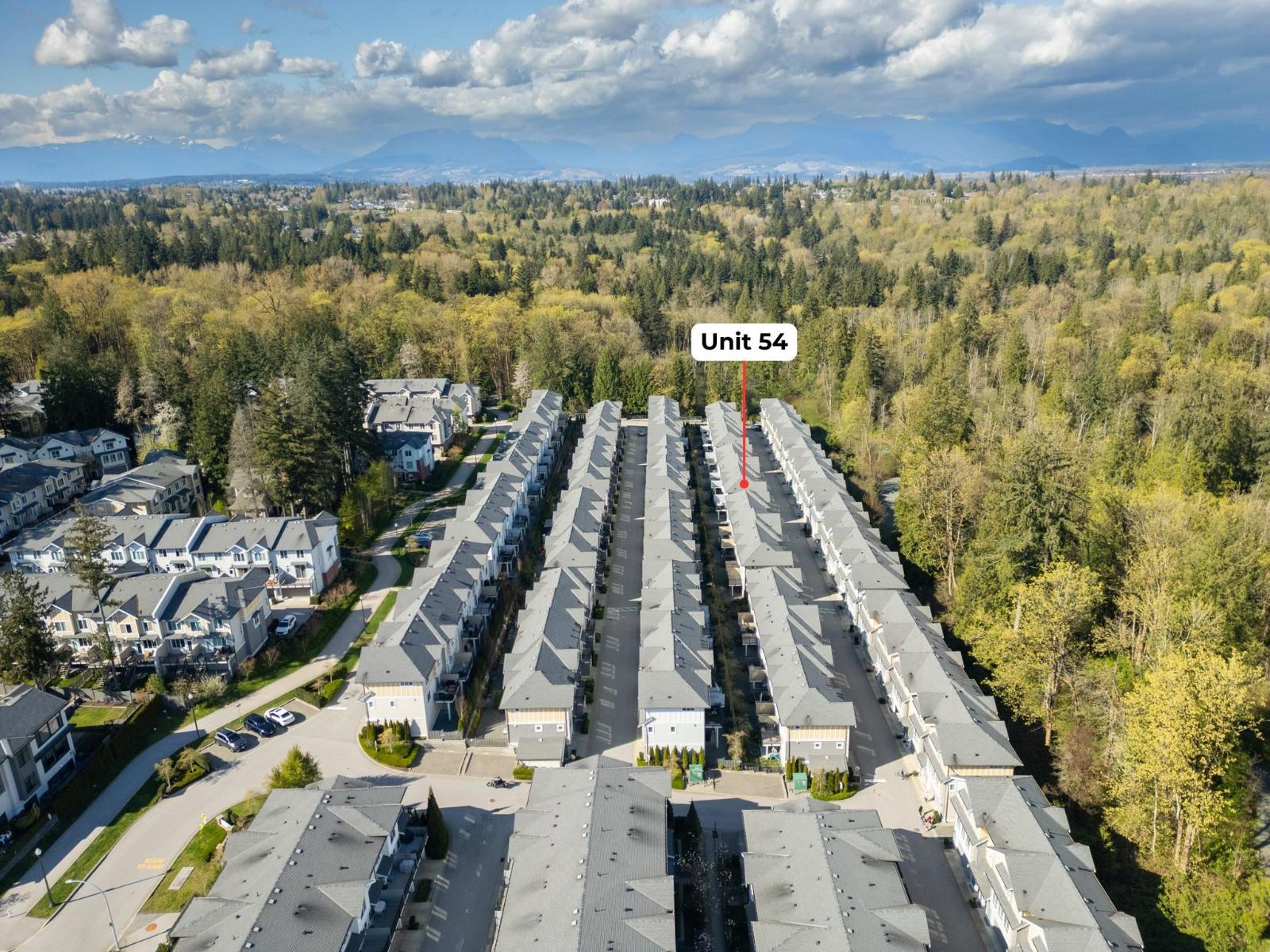 54 9688 162a Street, Surrey, British Columbia  V4N 6V3 - Photo 31 - R3111921