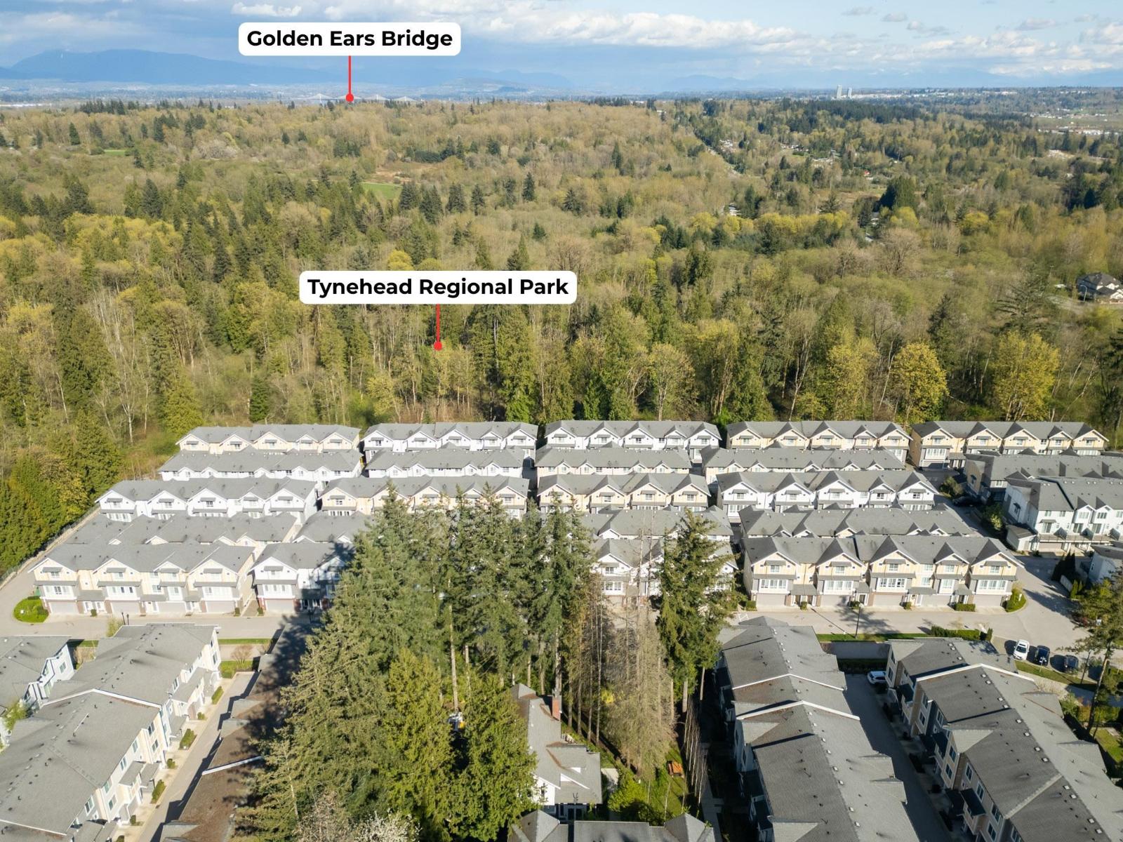 54 9688 162a Street, Surrey, British Columbia  V4N 6V3 - Photo 34 - R3111921