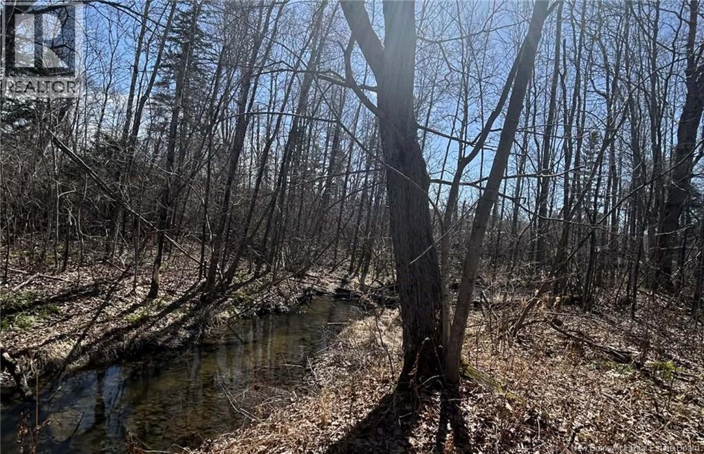 LOT Dr Hamilton Drive, Doaktown, New Brunswick