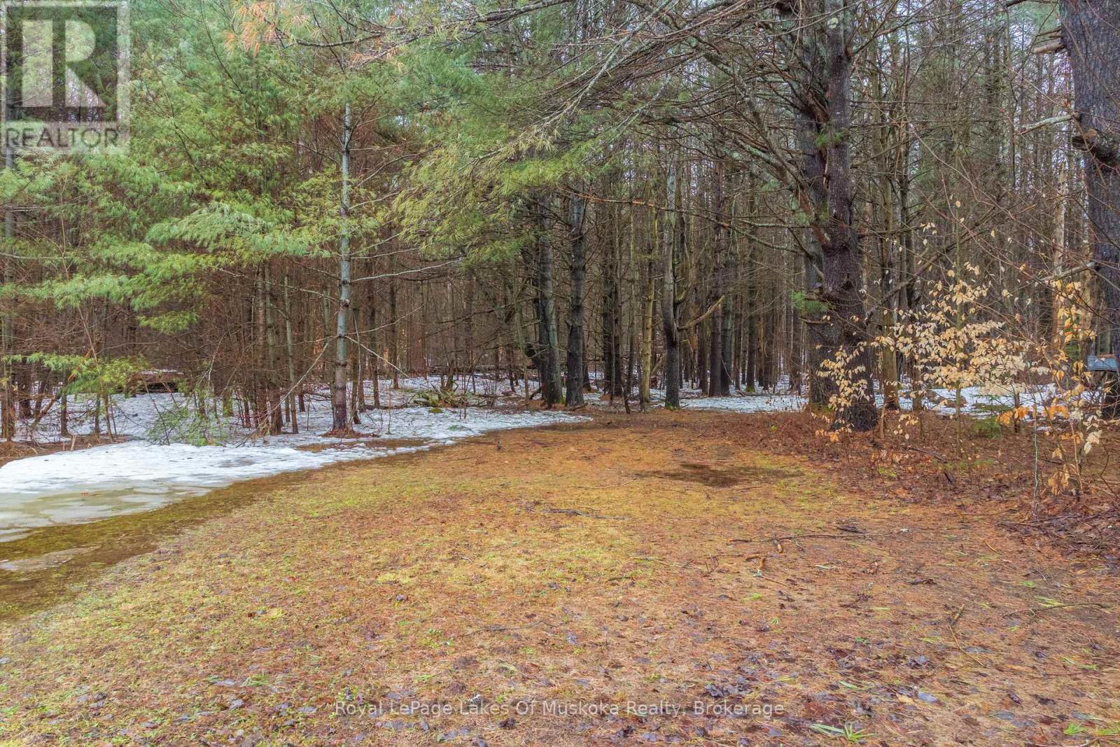 1150 Manitoba Street, Bracebridge, Ontario  P1L 0K8 - Photo 39 - X13013422