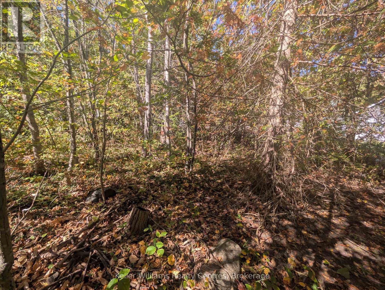 Lt 166 Mallory Beach Road, South Bruce Peninsula, Ontario  N0H 2T0 - Photo 15 - X13013500