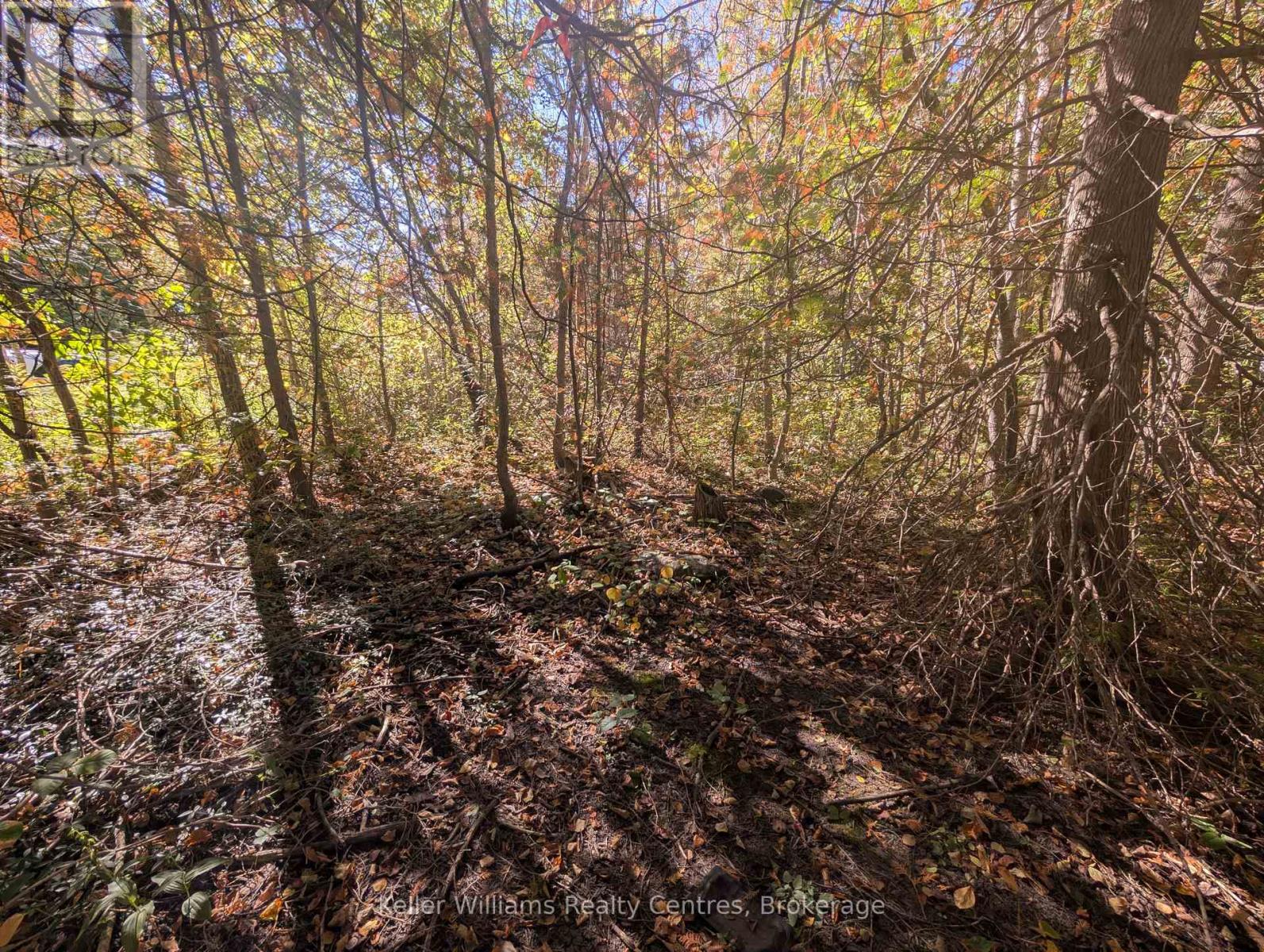 Lt 166 Mallory Beach Road, South Bruce Peninsula, Ontario  N0H 2T0 - Photo 18 - X13013500