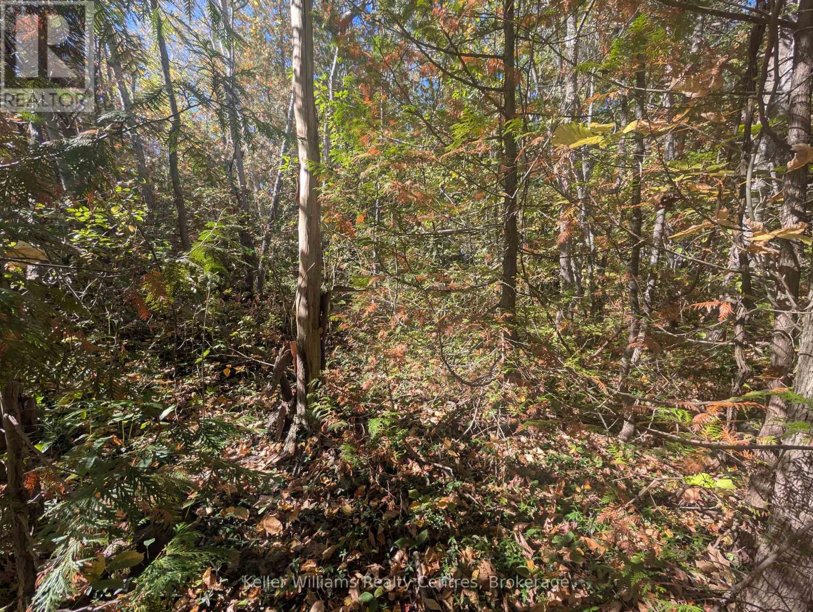 Lt 166 Mallory Beach Road, South Bruce Peninsula, Ontario  N0H 2T0 - Photo 19 - X13013500