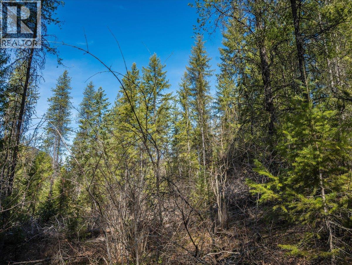 Lot 34 Pass Creek Road, Castlegar, British Columbia  V1N 4T1 - Photo 26 - 10383578