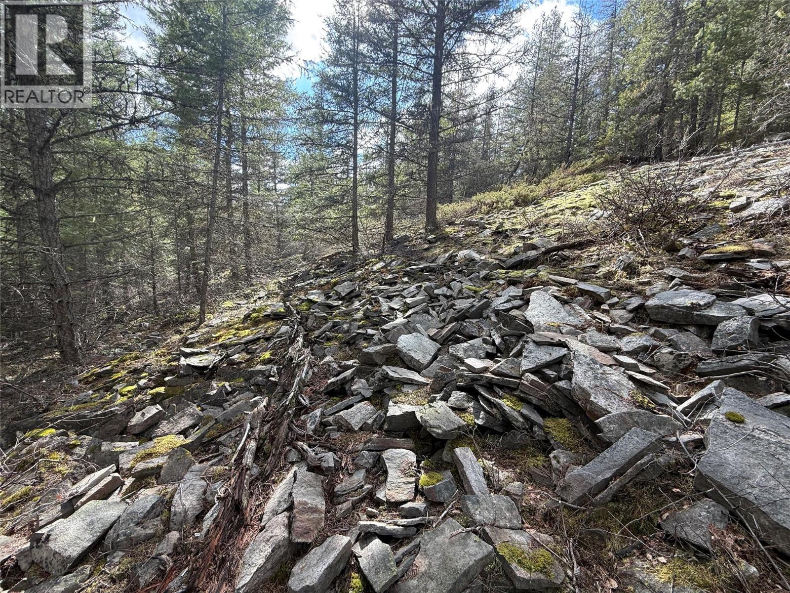 Lot 34 Pass Creek Road, Castlegar, British Columbia  V1N 4T1 - Photo 40 - 10383578