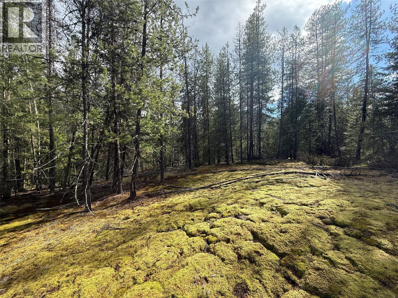 Lot 34 Pass Creek Road, Castlegar, British Columbia  V1N 4T1 - Photo 41 - 10383578