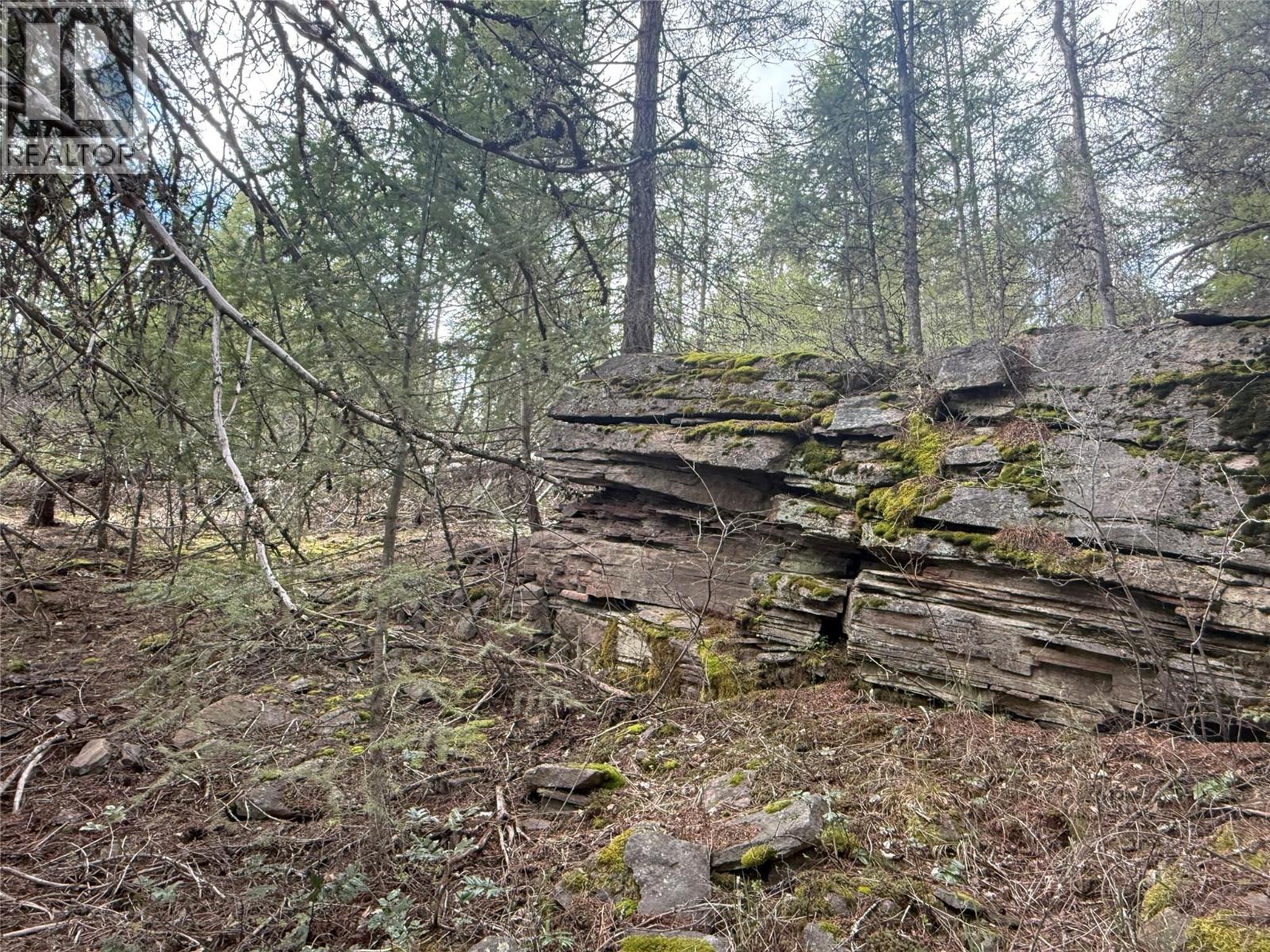 Lot 34 Pass Creek Road, Castlegar, British Columbia  V1N 4T1 - Photo 38 - 10383578