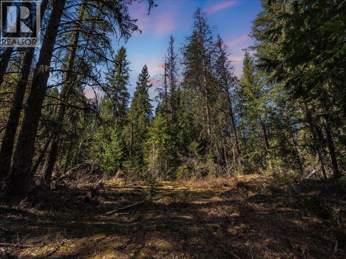 Lot 34 Pass Creek Road, Castlegar, British Columbia  V1N 4T1 - Photo 6 - 10383578