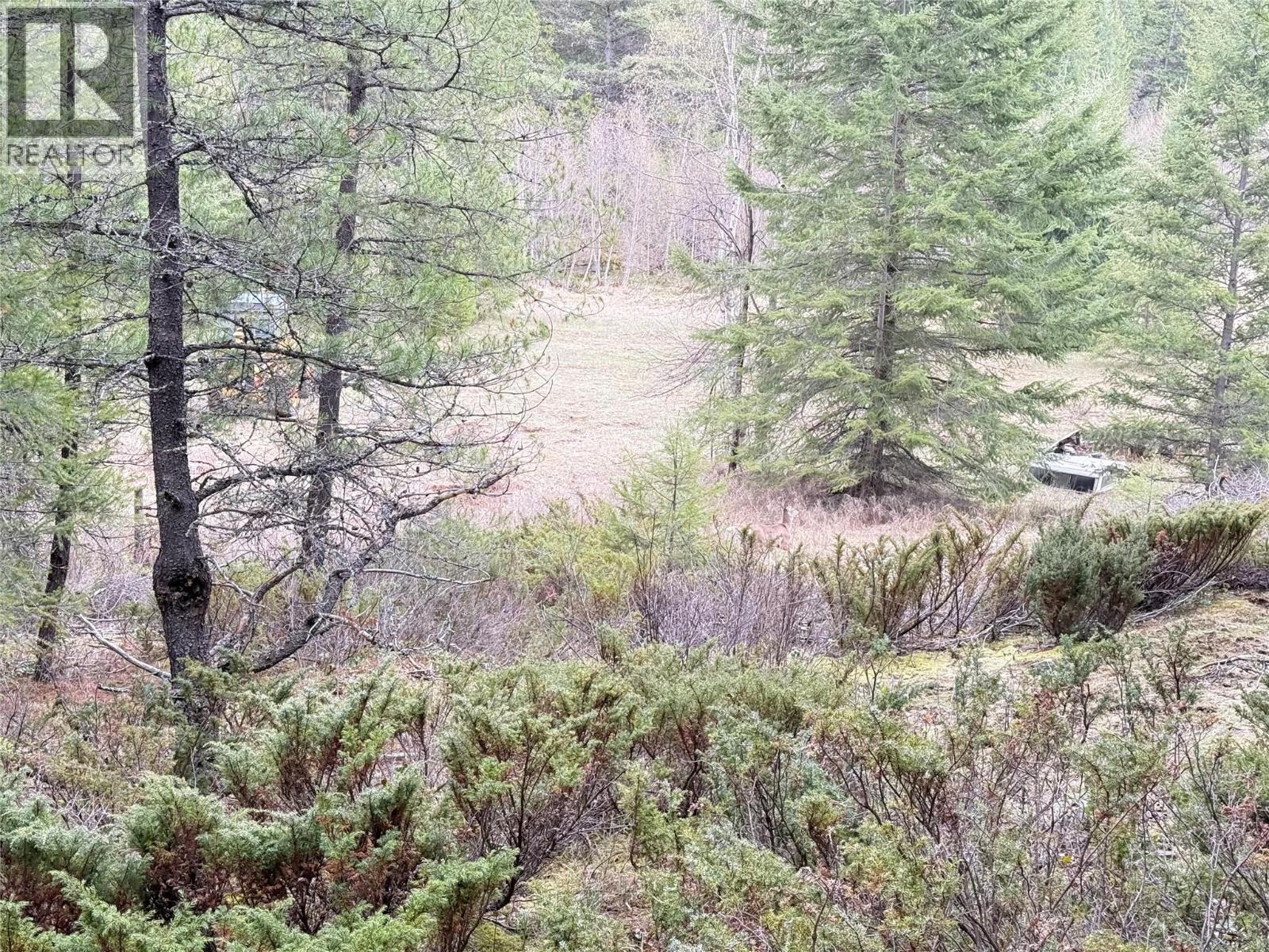 Lot 34 Pass Creek Road, Castlegar, British Columbia  V1N 4T1 - Photo 35 - 10383578