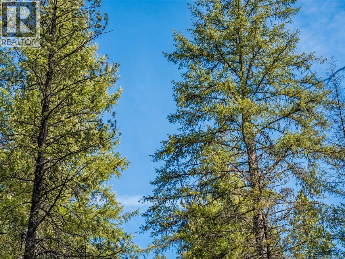 Lot 34 Pass Creek Road, Castlegar, British Columbia  V1N 4T1 - Photo 23 - 10383578