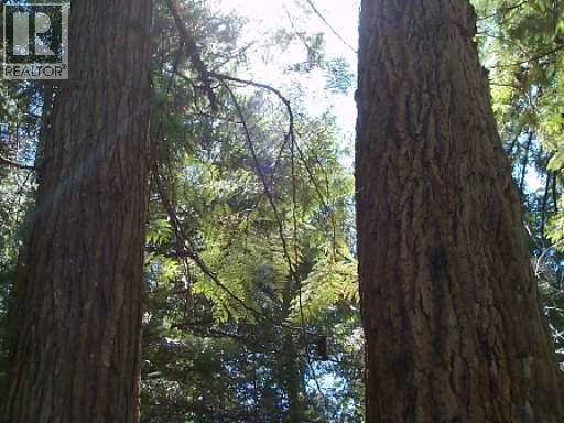 3176 Glengrove Place, Barriere, British Columbia  V0E 2E0 - Photo 2 - 10383718