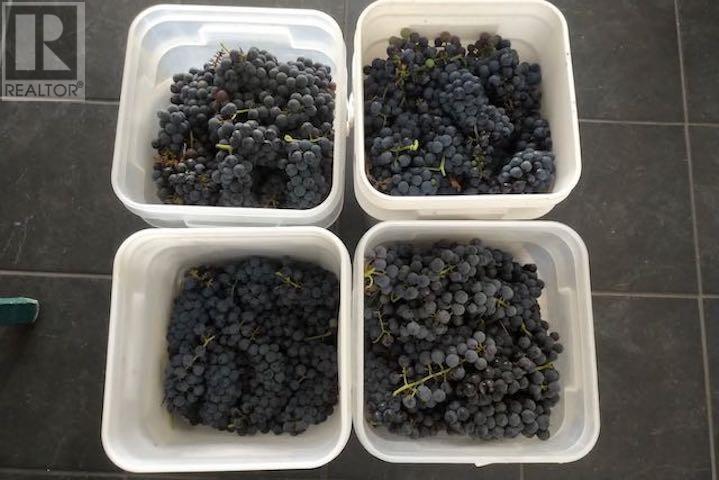 164 Doves Rd, Oxdrift, Ontario  P0V 2J0 - Photo 36 - TB251288