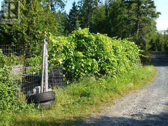 164 Doves Rd, Oxdrift, Ontario  P0V 2J0 - Photo 33 - TB251288