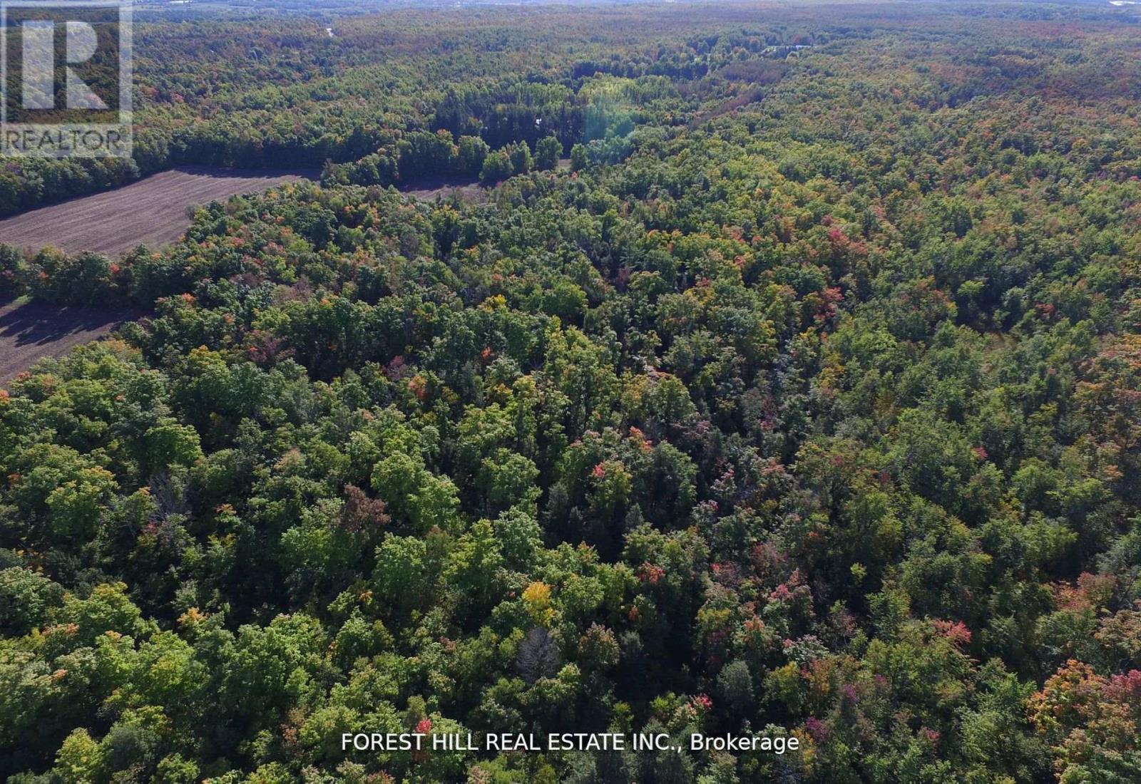 7406 17 Side Road, Halton Hills, Ontario  L7J 2M1 - Photo 8 - W13013458