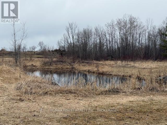 773 Ninth Concession Road, Stone Mills, Ontario  K0K 1Z0 - Photo 46 - X12604292