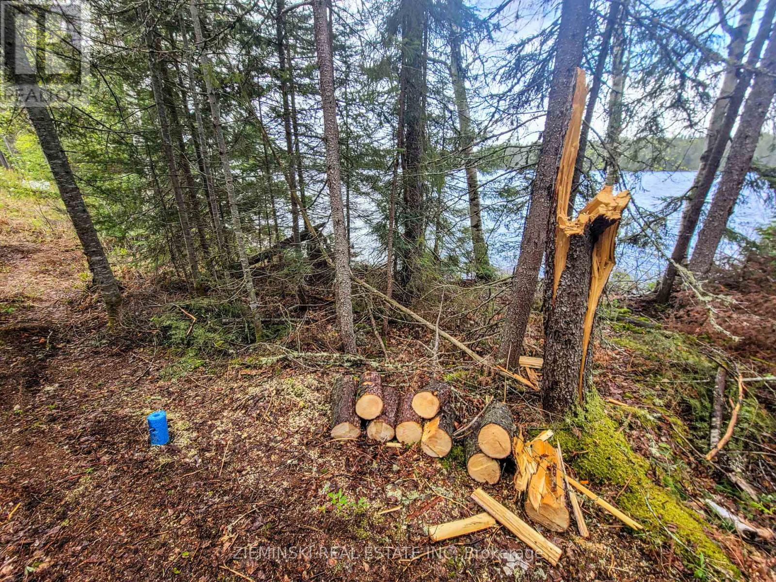 Lot 5 Baden Plan 54m331, Timiskaming, Ontario  P0K 1M0 - Photo 7 - T13013762