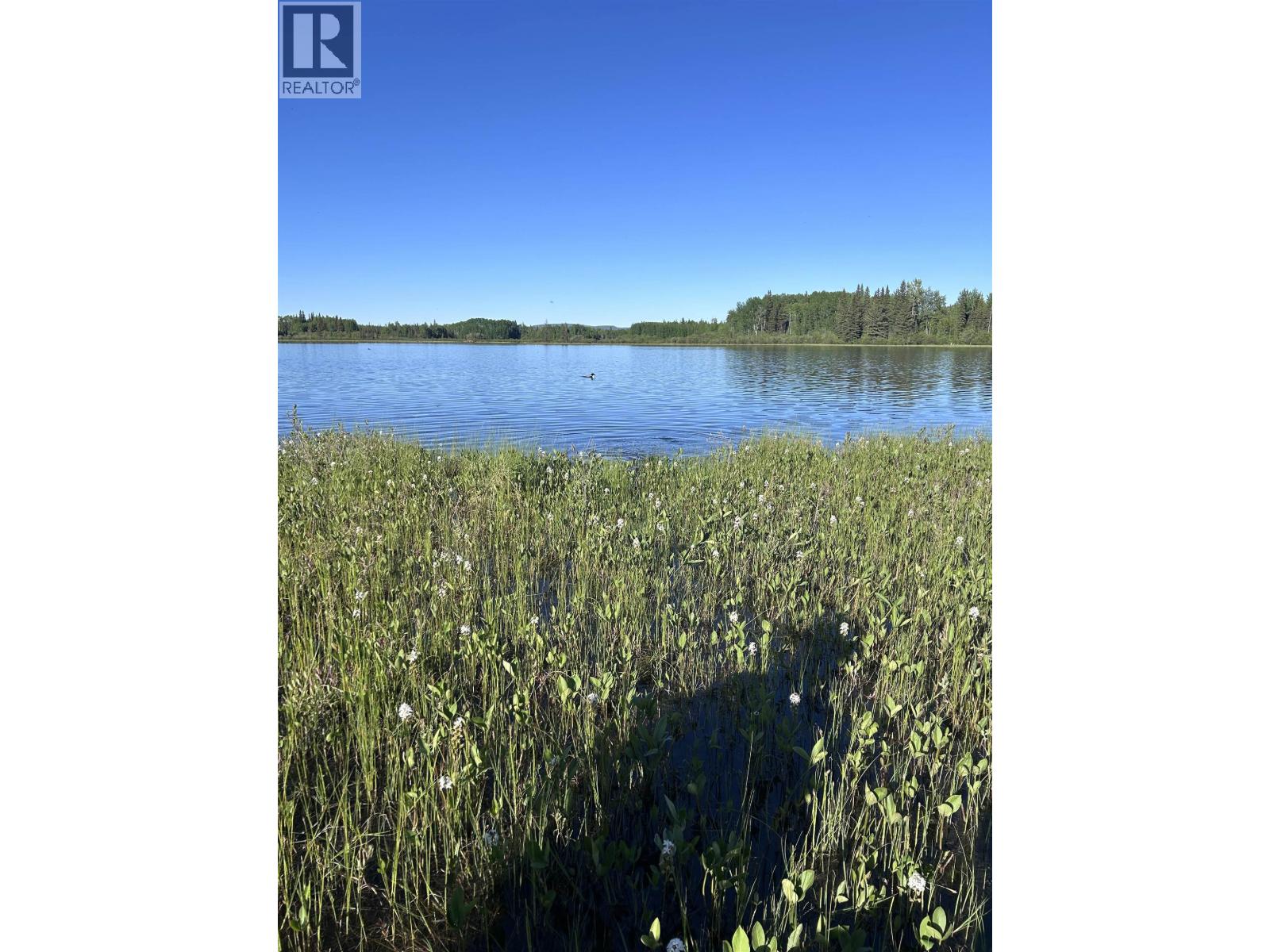 713 Tibbles Road, Quesnel, British Columbia  V2J 3H9 - Photo 34 - R3044971