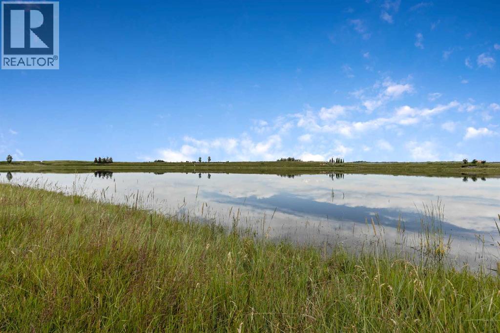 46 Creekstone Path SW, Calgary, Alberta  T2X 4P7 - Photo 28 - A2297942