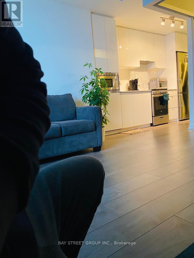 2006 - 49 East Liberty Street, Toronto, Ontario  M6K 0B2 - Photo 14 - C13013678