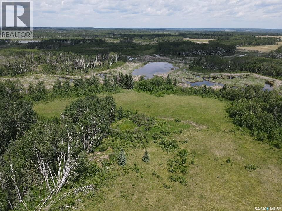 Endeavour Recreation Land, Preeceville Rm No. 334, Saskatchewan  S0A 3B0 - Photo 11 - SK033265
