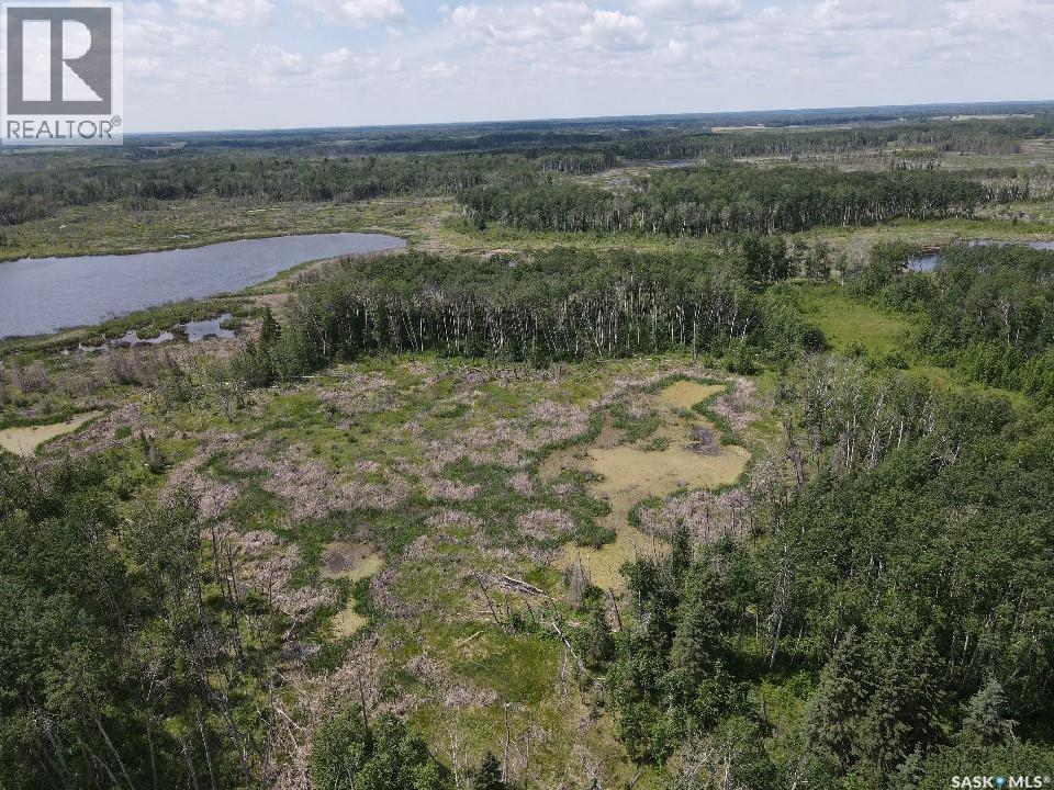 Endeavour Recreation Land, Preeceville Rm No. 334, Saskatchewan  S0A 3B0 - Photo 15 - SK033265