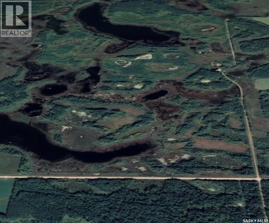 Endeavour Recreation Land, Preeceville Rm No. 334, Saskatchewan  S0A 3B0 - Photo 19 - SK033265