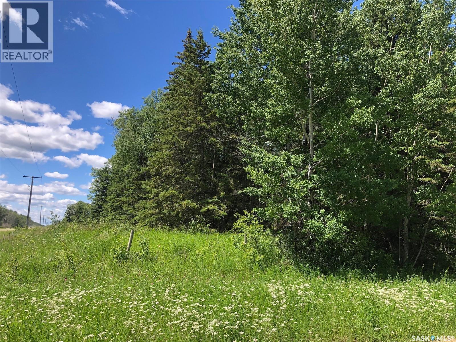 Endeavour Recreation Land, Preeceville Rm No. 334, Saskatchewan  S0A 3B0 - Photo 3 - SK033265