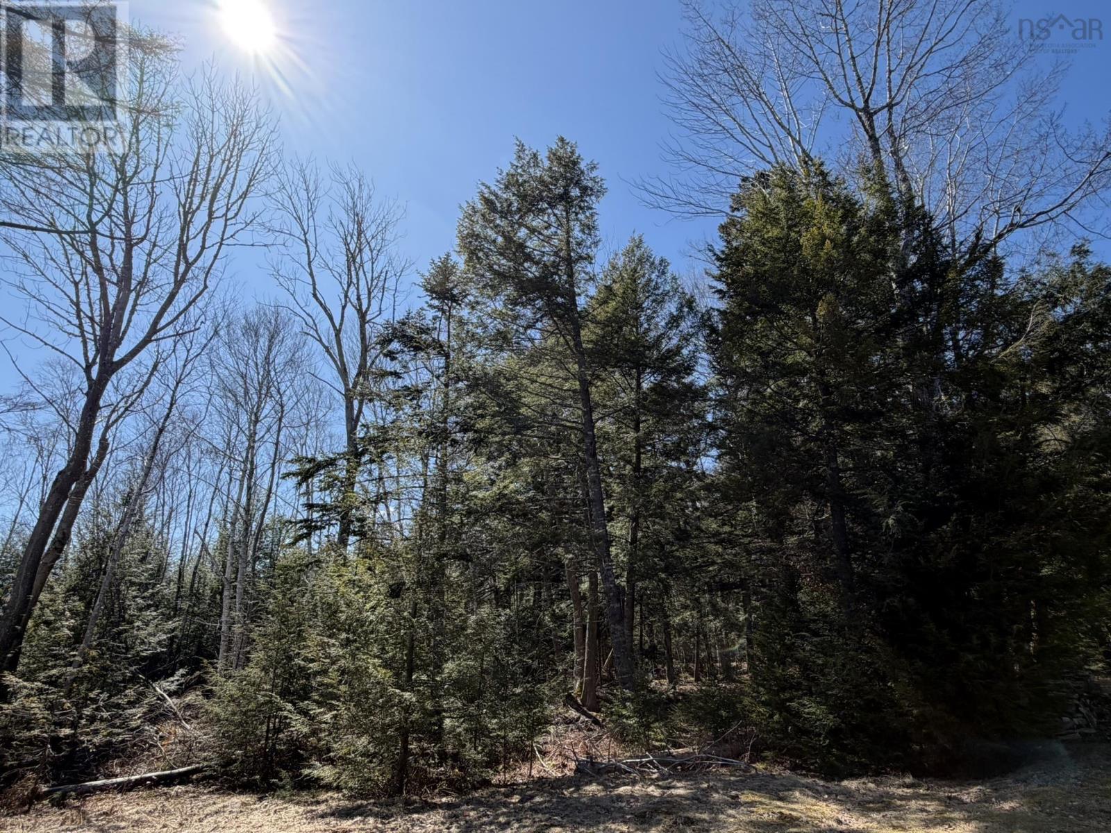 988 Labelle Road, Labelle, Nova Scotia  B0T 1E0 - Photo 25 - 202607835