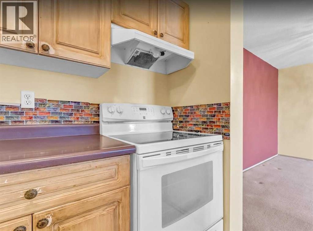 410, 245 Red Deer Drive Sw, Medicine Hat, Alberta  T1A 8P4 - Photo 13 - A2297074