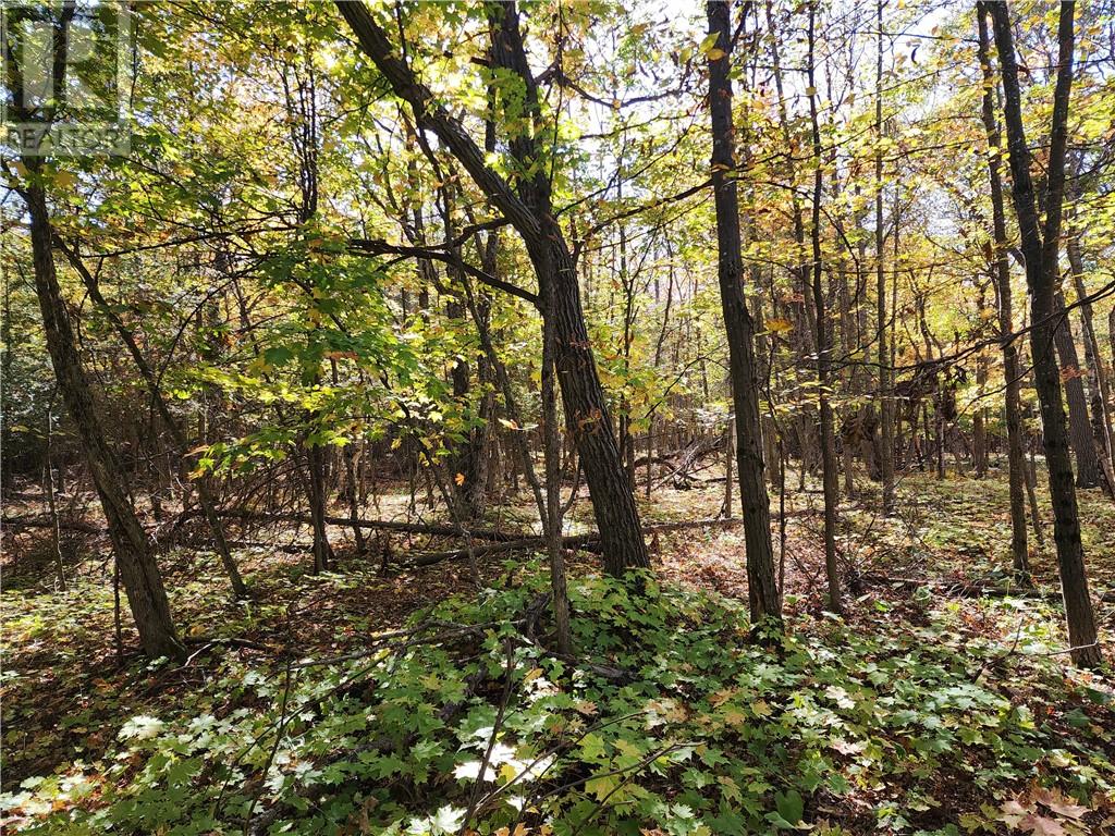 L12&l13 C8 Evergreen Ln, Spring Bay, Ontario  P0P 2B0 - Photo 20 - 2126619