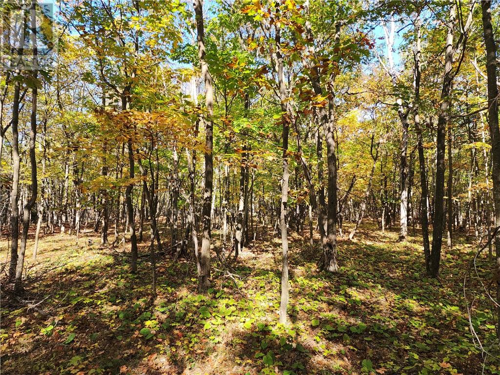 L12&l13 C8 Evergreen Ln, Spring Bay, Ontario  P0P 2B0 - Photo 21 - 2126619