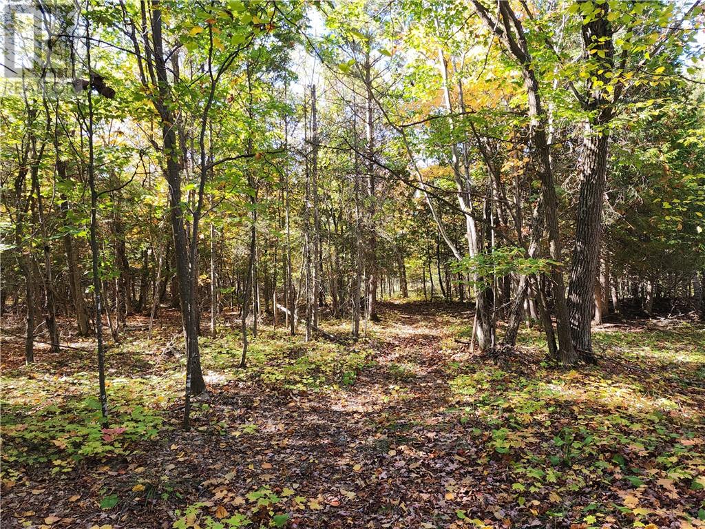 L12&l13 C8 Evergreen Ln, Spring Bay, Ontario  P0P 2B0 - Photo 22 - 2126619