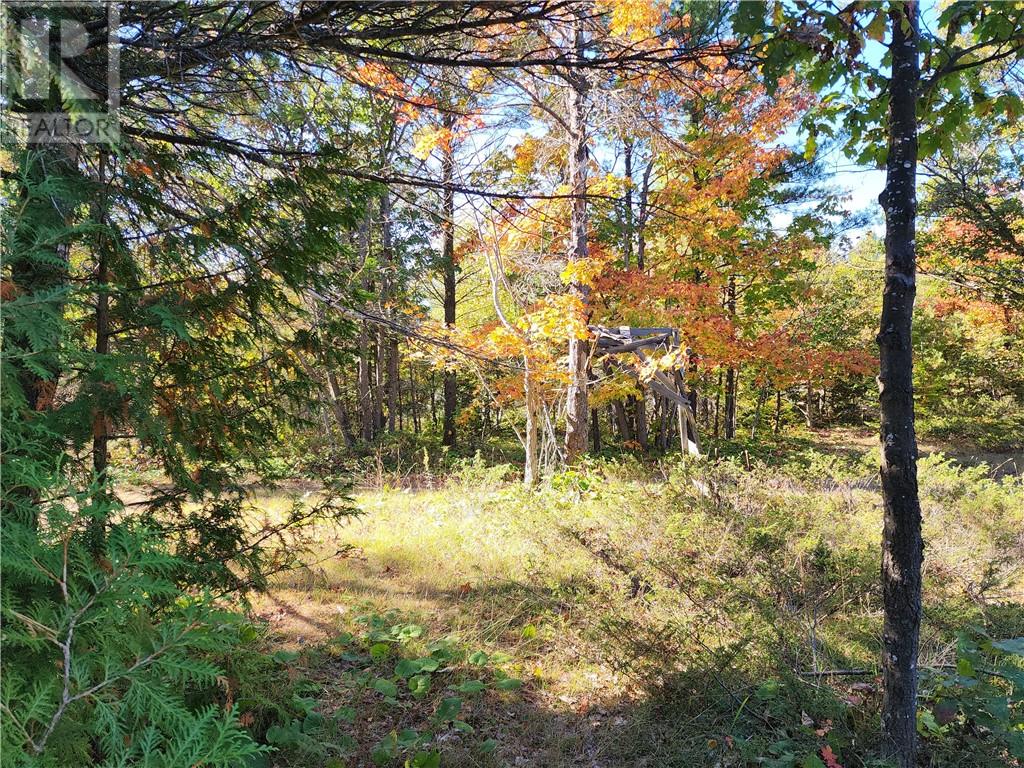 L12&l13 C8 Evergreen Ln, Spring Bay, Ontario  P0P 2B0 - Photo 23 - 2126619