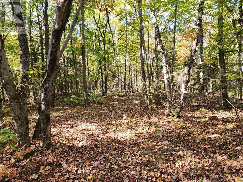 L12&l13 C8 Evergreen Ln, Spring Bay, Ontario  P0P 2B0 - Photo 24 - 2126619