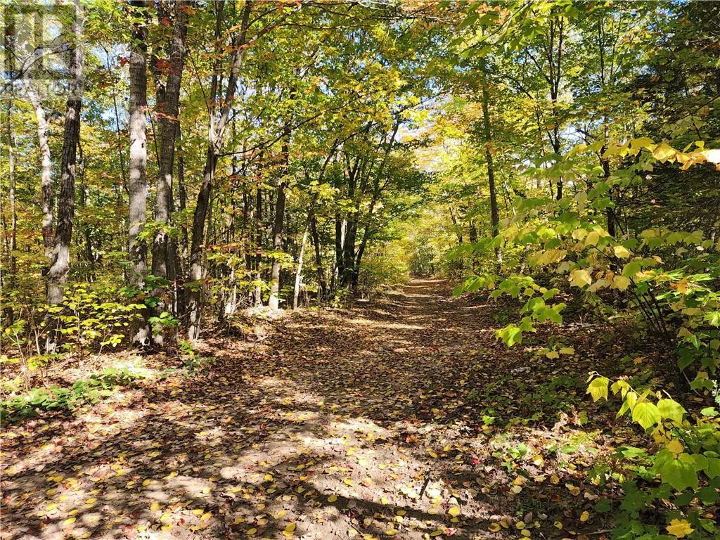 L12&l13 C8 Evergreen Ln, Spring Bay, Ontario  P0P 2B0 - Photo 25 - 2126619