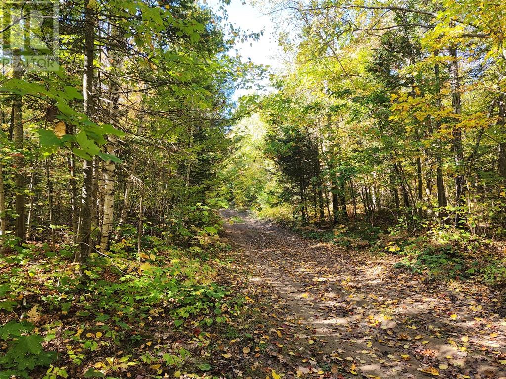 L12&l13 C8 Evergreen Ln, Spring Bay, Ontario  P0P 2B0 - Photo 26 - 2126619