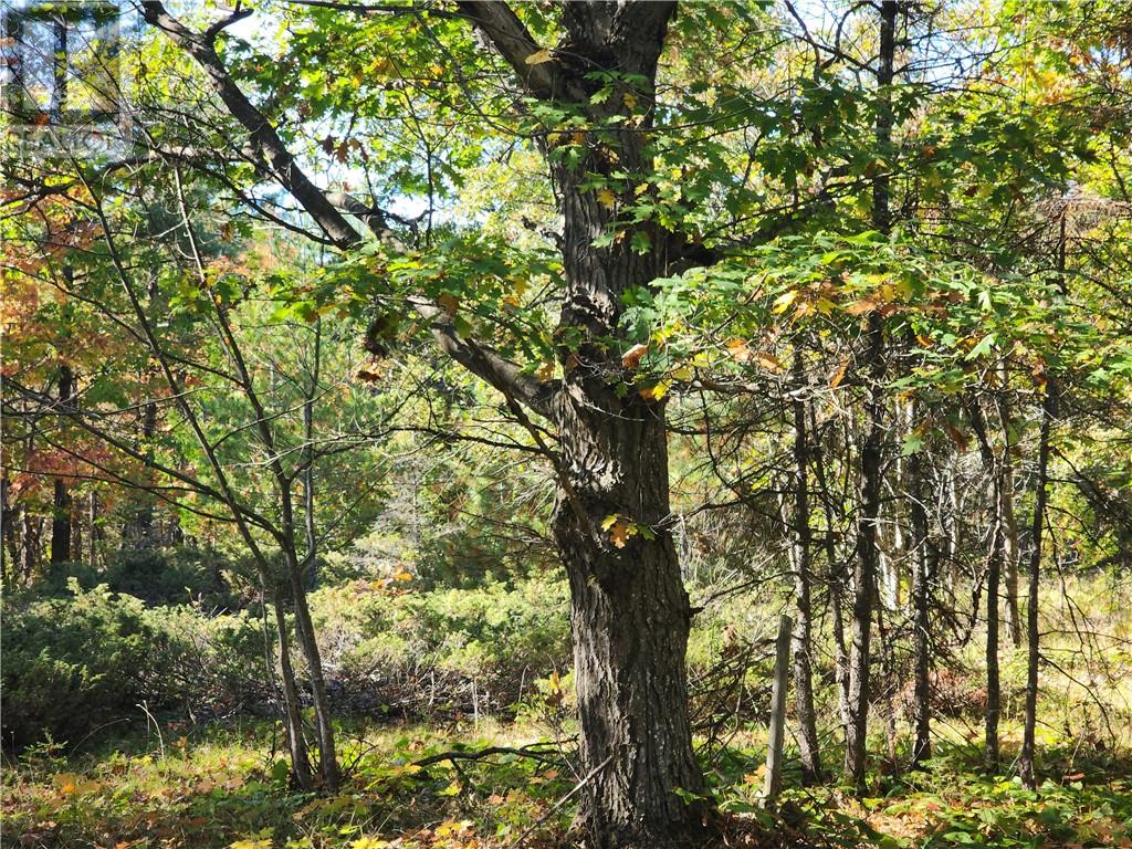 L12&l13 C8 Evergreen Ln, Spring Bay, Ontario  P0P 2B0 - Photo 3 - 2126619