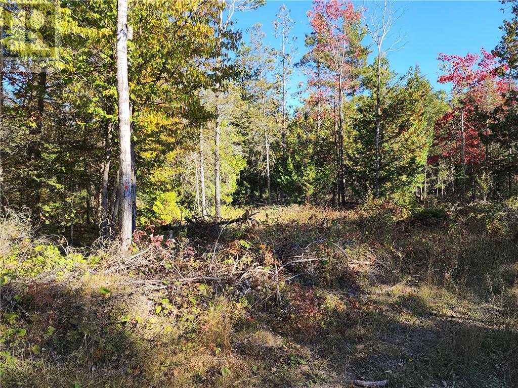 L12&l13 C8 Evergreen Ln, Spring Bay, Ontario  P0P 2B0 - Photo 41 - 2126619